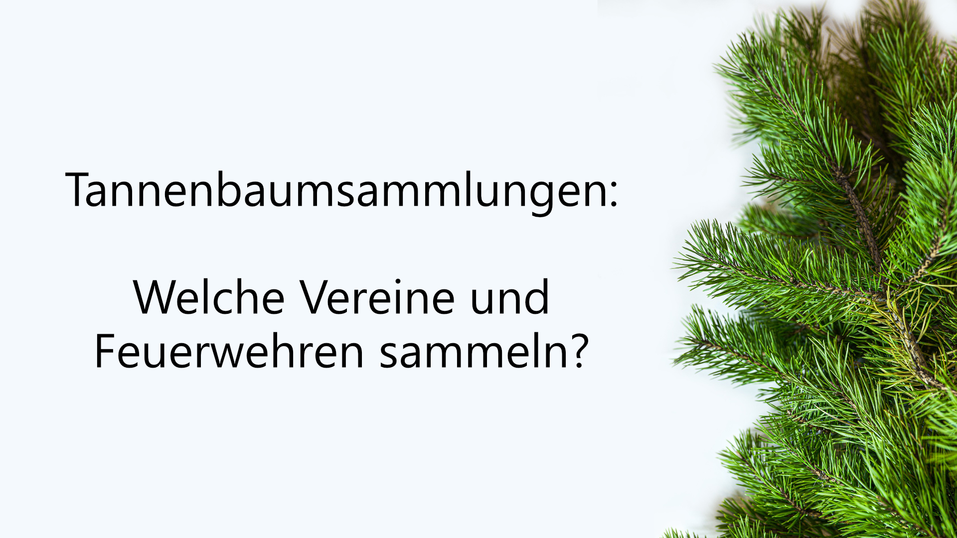 Ein generiertes Bild mit einem Tannenbaum.